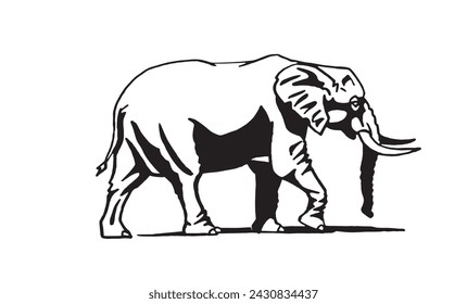 Graphical elephant walking on white background, vector illustration	