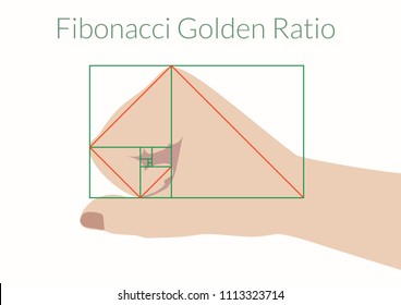 Graphical explanation of the algorithm Fibonacci. Human fist and Fibonacci Golden Ratio. Vector illustration EPS-8.