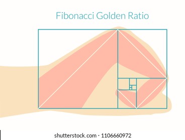 Graphical Explanation Of The Algorithm Fibonacci Number In Nature. Human Hand And Fibonacci Golden Ratio. Vector Illustration EPS-8.