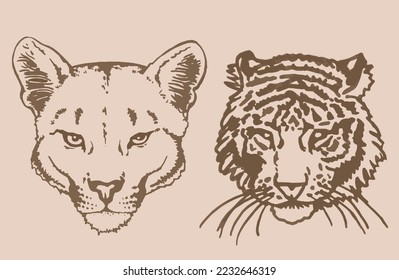 Graphical face of tiger ans lioness on sepia background,vector vintage illustration, tattoo design