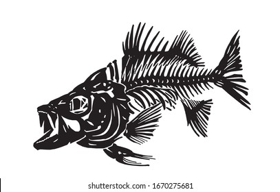 Graphical fish skeleton isolated on white background, vector illustration,paleontology