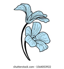 Graphical flower illustration. black flower, 