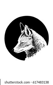 Graphical fox icon isolated on black background in black circle,logo