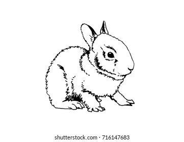 Graphical funny rabbit isolated on white background for coloring,vector illustration