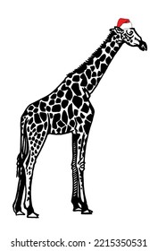 Graphical giraffe in Santa Claus hat isolated on white background,vector new year illustration 