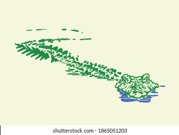 Graphical green crocodile in water, color vector illustration