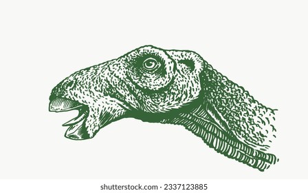 graphical green portrait of Camptosaurus isolated on white,vector illustration,dinosaur