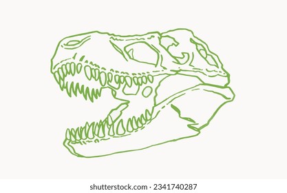 Graphical green sketch of skull of tyrannosaurus isolated on white,vector illustration, fossils
