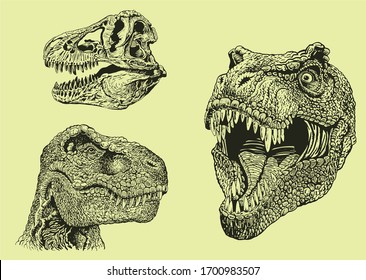 Graphical green tyrannosaurus portraits and skull on green background, vector illustration , cover