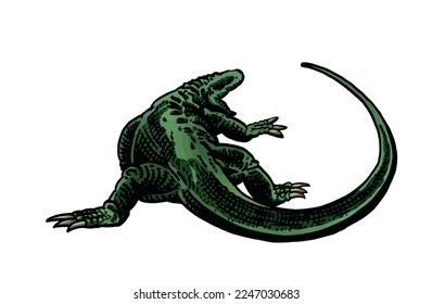 Graphical green varan isolated on white background, lizard color illustration