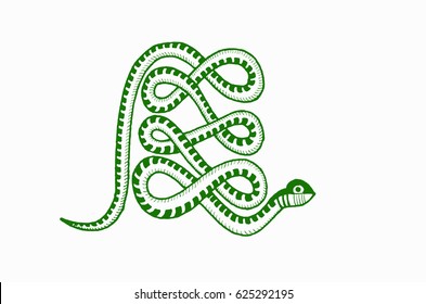 Graphical green vector sketch of snake,tattoo