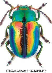 Graphical hand drawn bug. Vector.