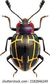 Graphical hand drawn bug. Vector.
