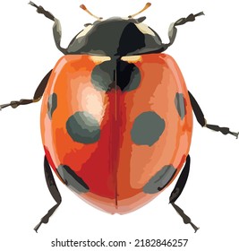 Graphical hand drawn bug. Vector.