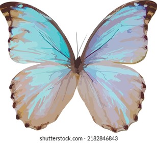 Graphical hand drawn butterfly. Vector.	