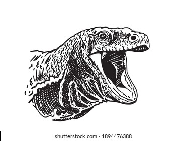 Retrato gráfico dibujado a mano del varan aislado en fondo blanco, lagarto