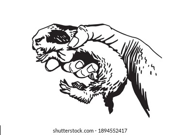 Graphical hand-drawn bunny in hand on white background, vector illustration