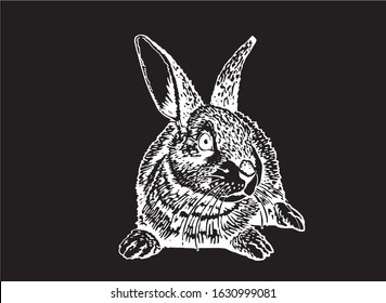 Graphical hand-drawn bunny isolated on black background, vector rodent