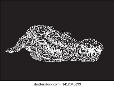 Graphical hand-drawn crocodile isolated on black,vector illustration
