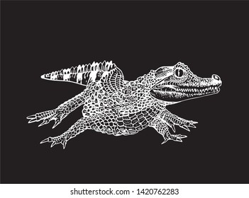 Graphical hand-drawn crocodile isolated on black,vector illustration