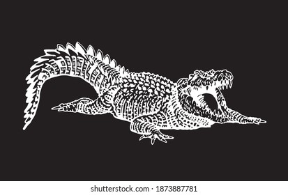 Graphical hand-drawn crocodile isolated on black background,vector engraved illustration