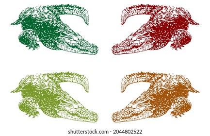 Graphical Hand-Drawn Crocodile Vector Illustration. Alligator Vector Drawing Isolated On A White Background
