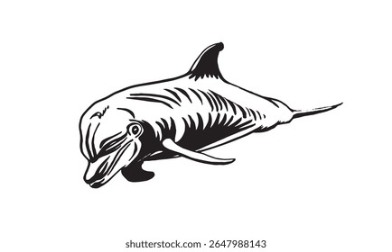 Graphical hand-drawn dolphin isolated on white background,vector  illustration