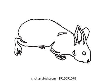 Dibujo gráfico de doodle dibujado a mano de conejo aislado en fondo blanco,vector