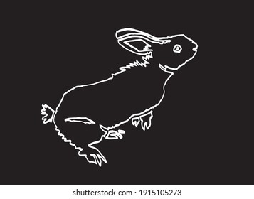 Graphical hand-drawn doodle illustration of rabbit isolated on black background,vector
