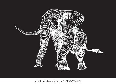 Graphical hand-drawn elephant isolated on black background, vector engraved illustration