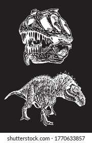 Graphical hand-drawn megalosaurus and skull of tyrannosaurus isolated on black,vector engraved illustration