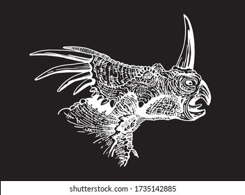 Graphical hand-drawn portrait of Styracosaurus isolated on black ,vector engraved illustration