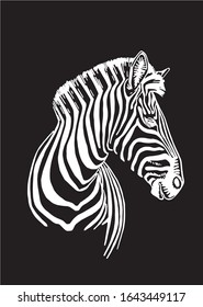 Graphical hand-drawn portrait of zebra isolated on black background,vector illustration