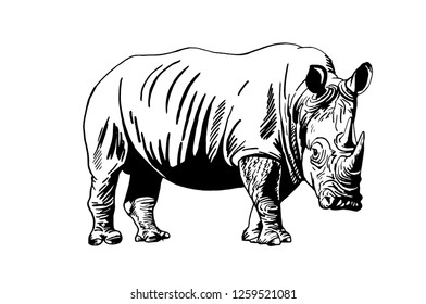 Graphical Hand-drawn Rhino Isolated On White Background,vector Sketch