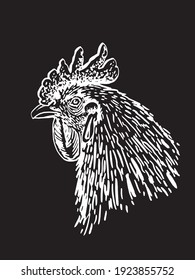  Graphical hand-drawn rooster isolated on black background,engraved vector illustration