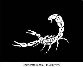 Graphical hand-drawn scorpion isolated on black background,vector illustration