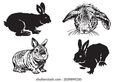 Graphical hand-drawn set of bunnies isolated on white, domestic animals for design,tattoo ,coloring anf typography