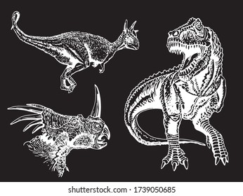 Graphical hand-drawn set of dinosaurs isolated on black ,vector engraved illustration for printing and design, lizards