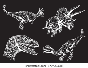 Graphical hand-drawn set of dinosaurs isolated on black ,vector engraved illustration for printing and design, lizards