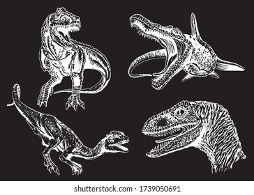 Graphical hand-drawn set of dinosaurs isolated on black ,vector engraved illustration for printing and design, lizards