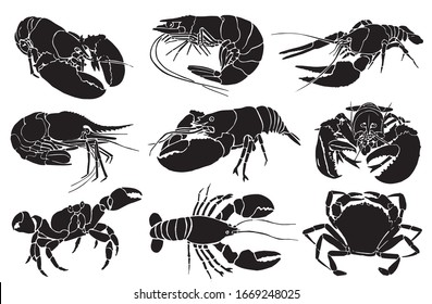 Graphical hand-drawn set of sea food isolated on white background, vector illustration