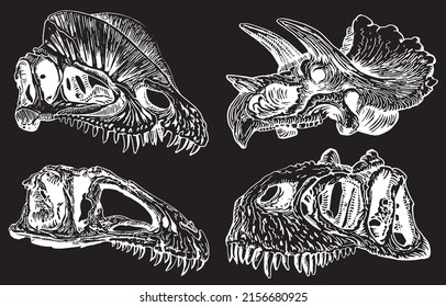 Graphical hand-drawn set of skulls of dinosaurs isolated on black,vector illustration,fossils