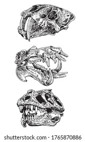 Graphical hand-drawn set of skulls isolated on white background,vector illustration for tattoo and design