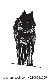 Graphical hand-drawn silhouette of wolf on white background,vector illustration