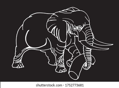 Graphical hand-drawn sketch of elephant isolated on black background,vector engraved  illustration ,lined art