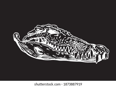 Grafischer handgezeichneter Schädel von Krokodil einzeln auf schwarzem Hintergrund, Vektorgrafik