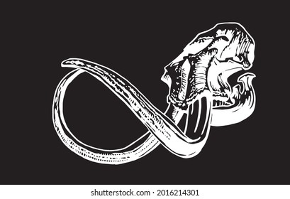 Graphical hand-drawn skull of mammoth isolated on black background, vector paleontological element