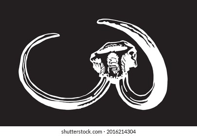 Graphical hand-drawn skull of mammoth isolated on black background, vector paleontological element