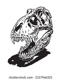 Graphical hand-drawn skull of tyrannosaurus isolated on white background,vector element, paleontology