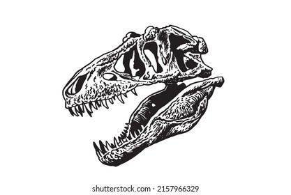 Graphical hand-drawn skull of tyrannosaurus isolated on white background,vector element, paleontology